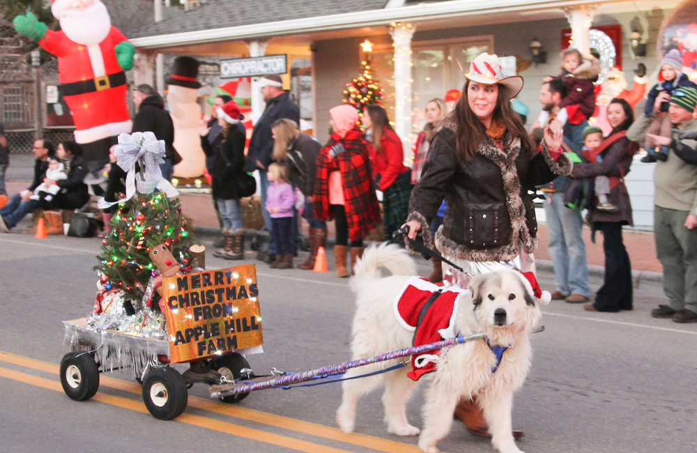 A woman and dog with their float in the Christmas parade in Banner Elk NC