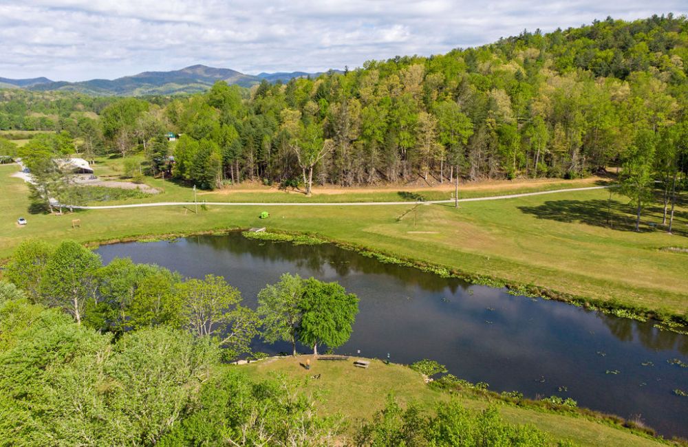 Pond at Deerwoode Reserve