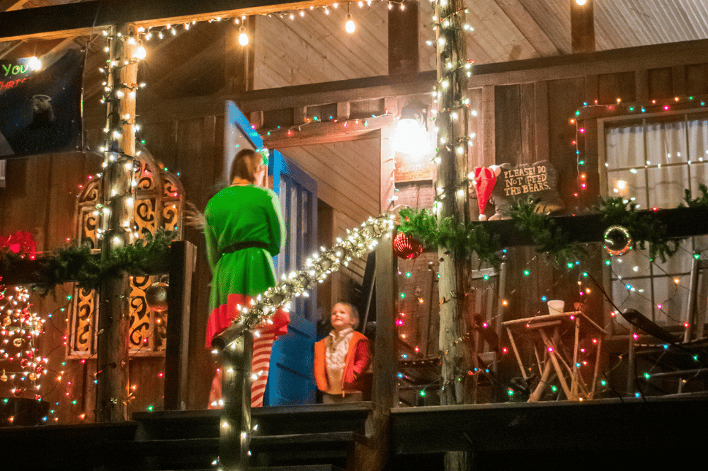 Festival of Lights at Deerwoode Reserve