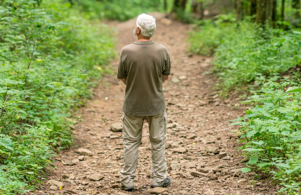 Man observing the forest on a forest therapy trail in Jackson County NC