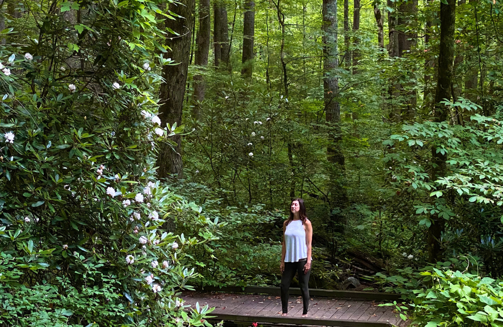 Forest Therapy Options in Jackson County NC