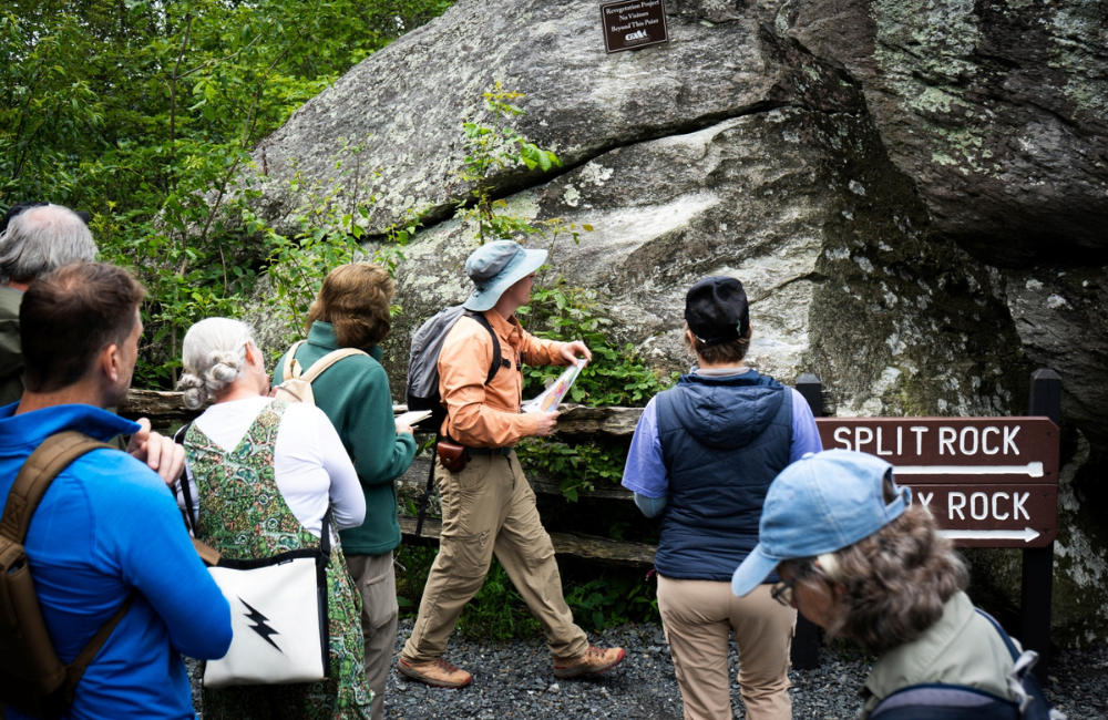 Adult field course in exploring at Grandfather Mountain