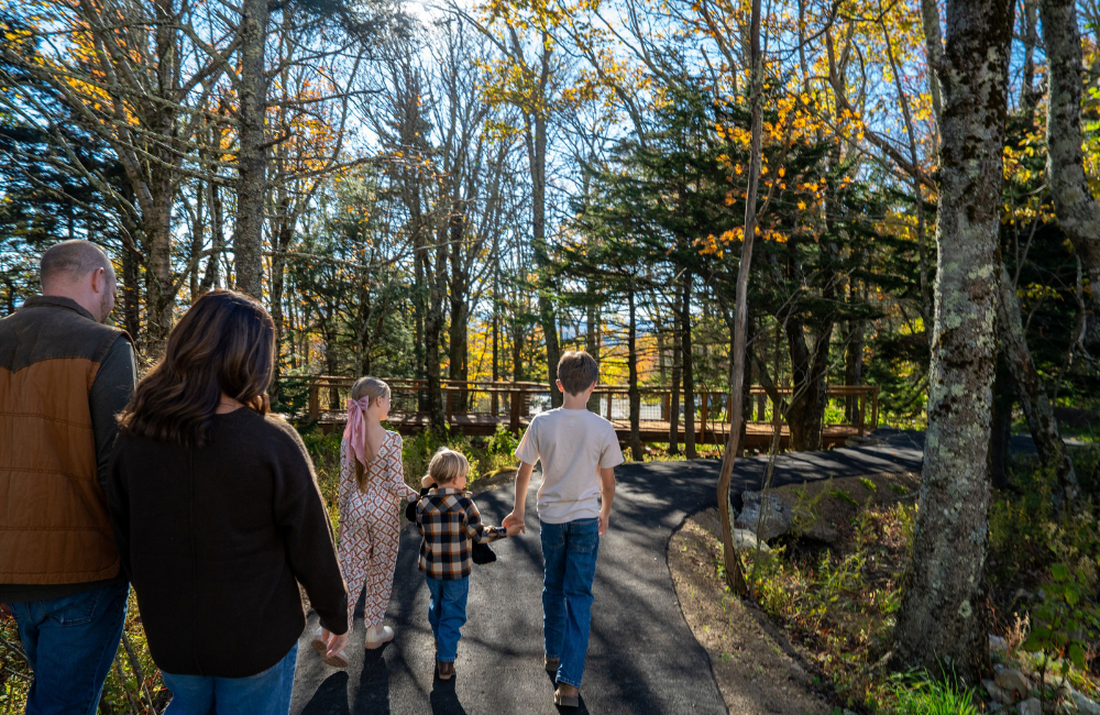 Yonni's Clubhouse at Grandfather Mountain with nature trail