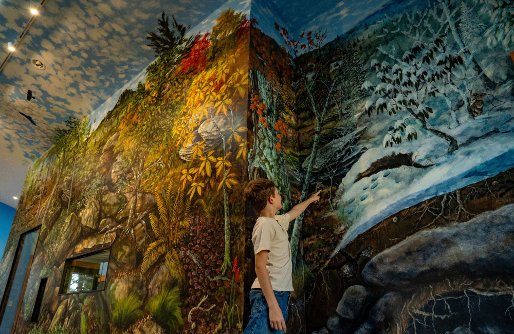 Yonni's Clubhouse at Grandfather Mountain interior exhibit photo
