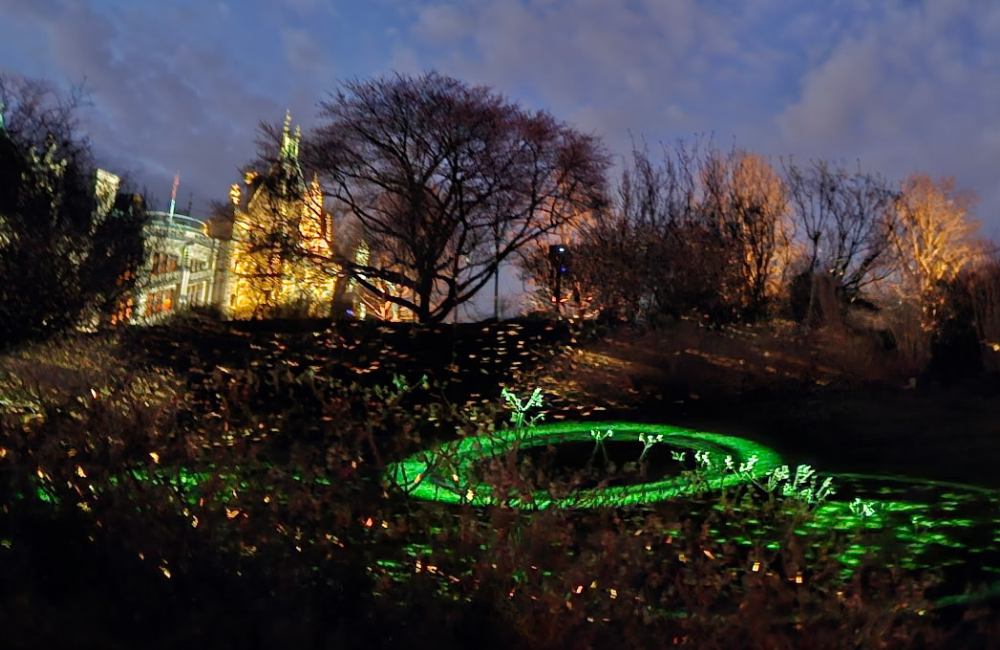 Mind-blowing light and sound at the Shrubs during Luminere at Biltmore