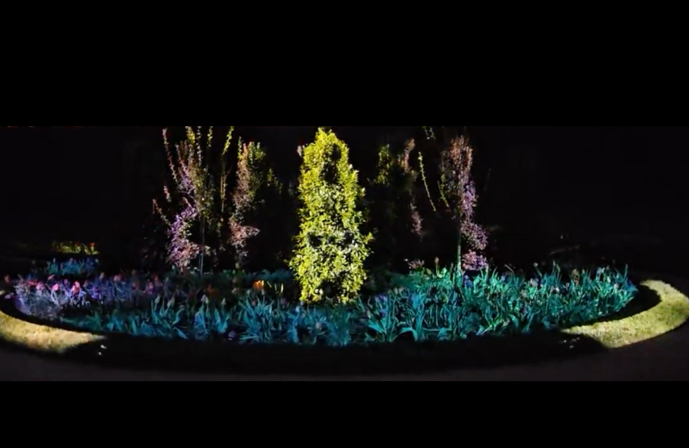 A scene from within the Walled Gerden during Luminere at Biltmore