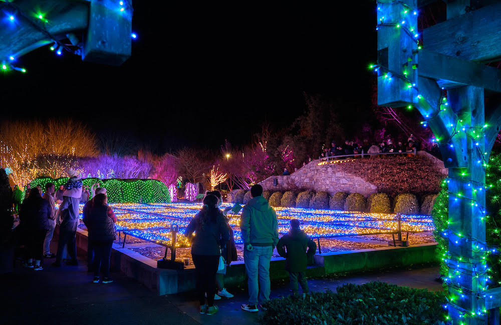 NC Arboretum Winter Lights - Romantic Asheville