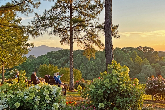 Parker Binns Vineyard Sunset, First Peak, NC