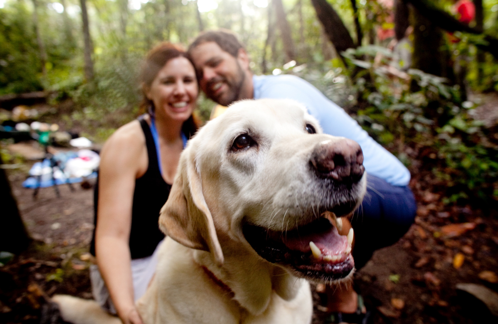 Bring your dog to pet friendly Brevard NC