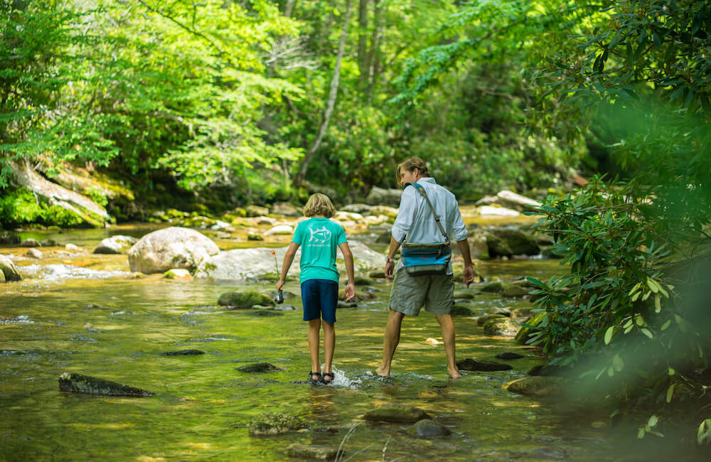Sunburst Falls & Pigeon River Cascades - Romantic Asheville 1