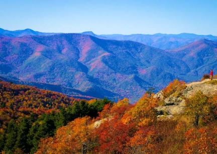 Black Balsam Fall