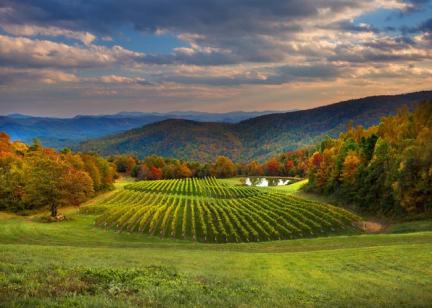 Hendersonville Wineries 