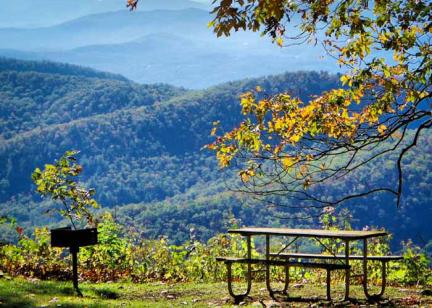 Picnic spots near Asheville
