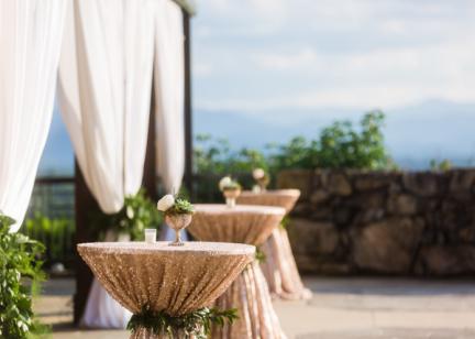Asheville Wedding Planners