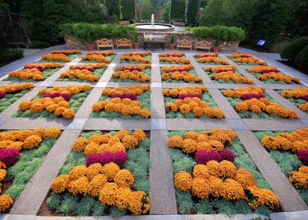 NC Arboretum Fall Quilt Garden