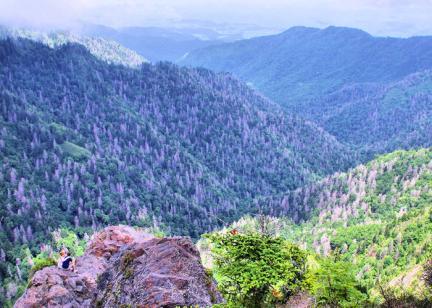 Charlies Bunion Hike, Great Smoky Mountains