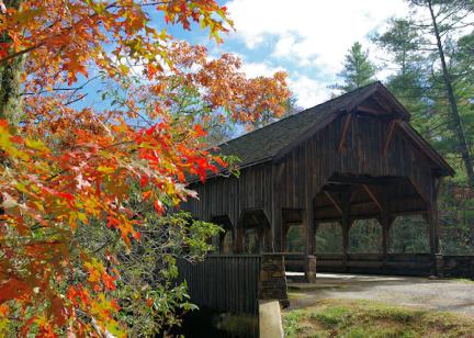 DuPont State Recreational Forest