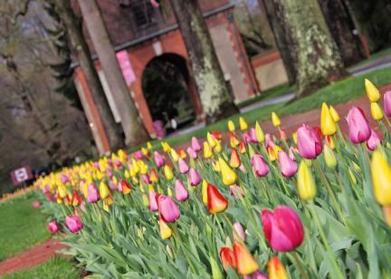Easter Weekend in Asheville