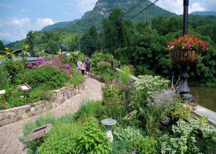 Flowering Bridge, Lake Lure