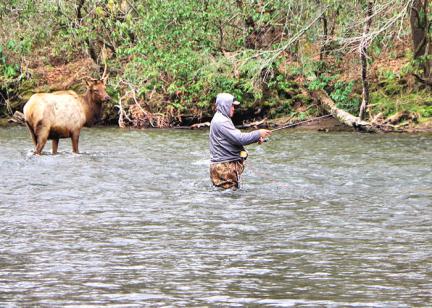 Fly Fishing NC Mountains