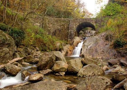 Forest Heritage Scenic Byway