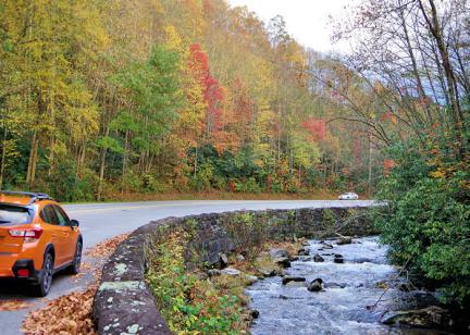 Great Smoky Mountains Scenic Drives