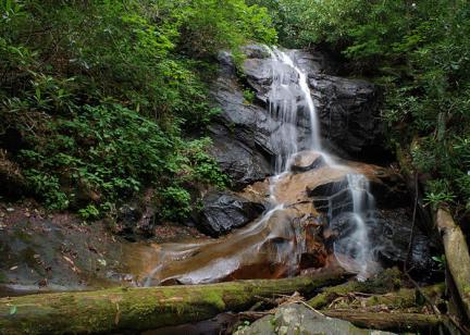 Log Hollow Falls NC