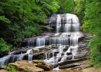 Pearson's Falls and Glen, NC