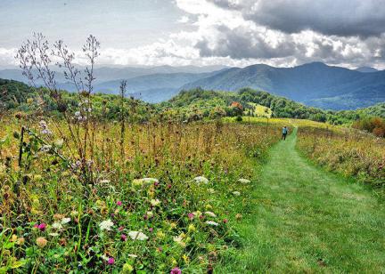 Purchase Knob, Great Smoky Mountains