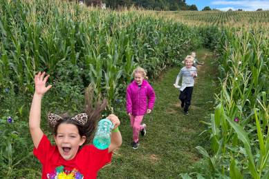 Children happily running through a corn maze