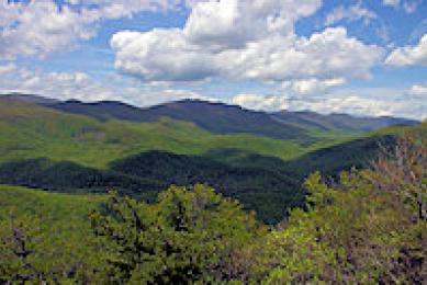 Pisgah National Forest