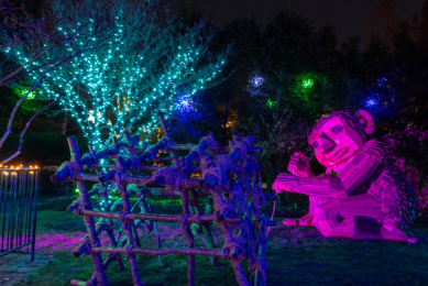 A troll in the glow of festive lights at Winter Lights at the NC Arboretum
