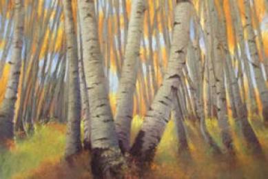 Beaverdam Studio Tour