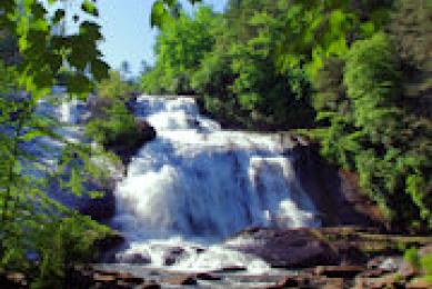 DuPont State Forest