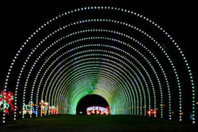 Tryon Christmas Lights