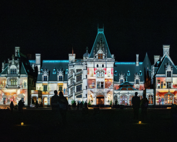 Luminere Immersive Nightscapes at Biltmore