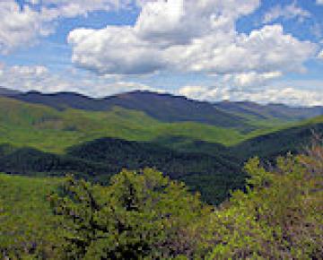 Pisgah National Forest