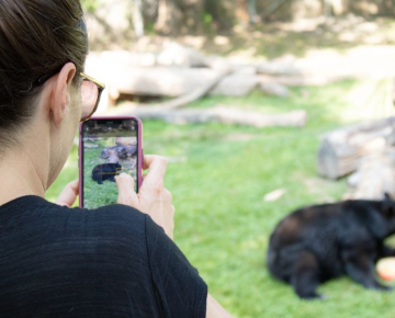 WNC Nature Center hosts Brews & Bears