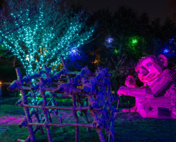 A troll in the glow of festive lights at Winter Lights at the NC Arboretum
