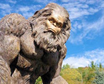 Bigfoot Festival, Marion NC