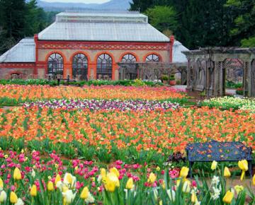 Biltmore's Gardens in Bloom