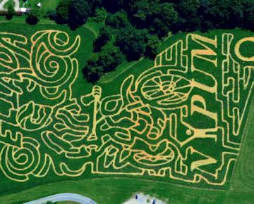 Asheville Eliada Corn Maze