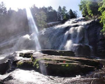 DuPont Forest Festival