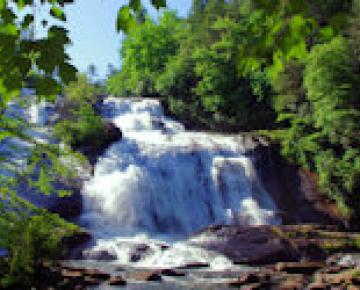 DuPont State Forest