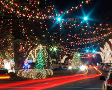 Forest City Christmas Lights