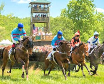 Steeplechase