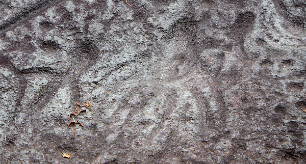 Judaculla Rock