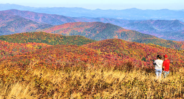 Black Balsam Knob, Fall Color