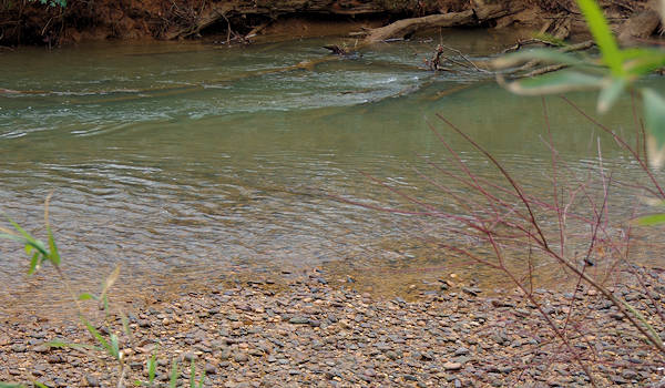 Alexander's Ford, Green River