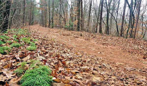Alexander's Ford: Overmountain Victory Trail